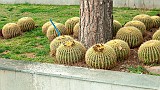 20130308_0115 1